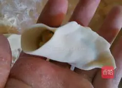 Illustration of how to wrap dumplings 6