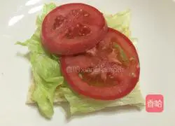 American style sandwich recipe 9