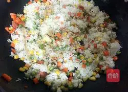 Assorted Fried Rice Recipe Illustration 6