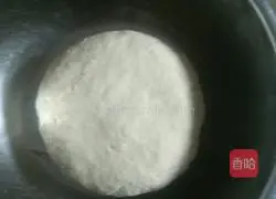 Illustration of how to make yellow garlic sprouts (chive yellow) meat dumplings (home-style steamed dumplings) 4