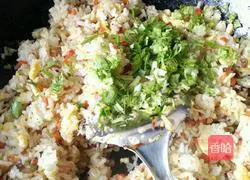 Assorted Egg Fried Rice Recipe Illustration 16