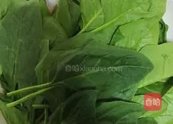 Illustration of tomato and spinach noodles 1