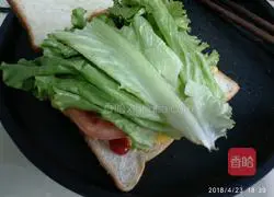 Illustration of homemade breakfast sandwich 13