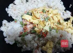 Assorted Fried Rice Recipe Illustration 13