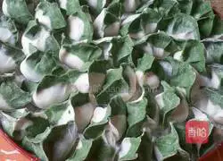 Illustration of two-color parsley dumplings 4