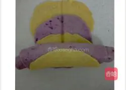 Illustration of how to make two-color rose steamed buns 9