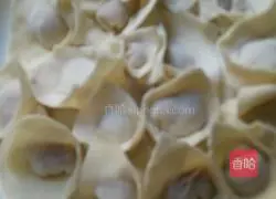 Illustration of how to make wontons 5