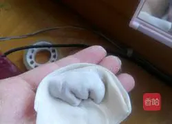 Pork and cabbage stuffed dumplings Illustration of practice 12