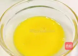 Colorful Fried Rice Teaching Illustration 5