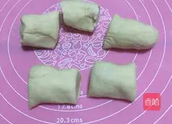 Illustration of Northeastern Sauerkraut and Pork Buns 10