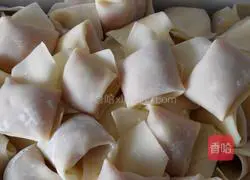 Illustration of how to make wontons 6