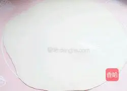 Illustration of how to make chicken and carrot wontons 4