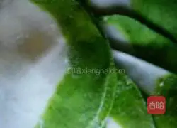 Illustration of how to make delicious dumplings 5