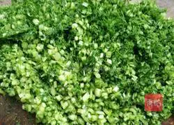 Pork and Fennel Dumplings Recipe Illustration 10