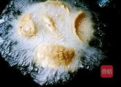 Illustration of how to make rice dumplings 16