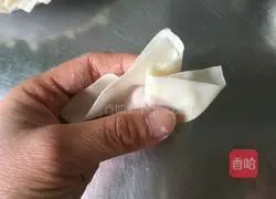 Illustration of how to wrap wontons 10