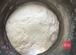 Illustration of Northeastern Sauerkraut and Pork Buns 4