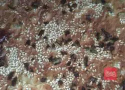 Illustration of how to make meat floss sausage dough cake 7