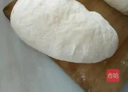 Leeks, Shiitake Mushrooms and Meat Illustration of how to make stuffed dumplings 2