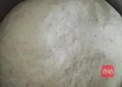 Illustration of how to make bean dregs steamed buns 2