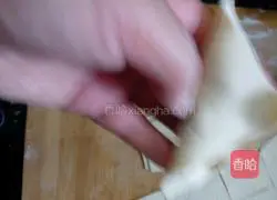 Illustration of how to make large wontons stuffed with mushrooms and meat 6