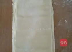 Illustration of homemade noodles 4