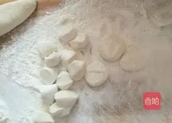 Illustration of making dumplings with carrot, shiitake, mushroom and pork stuffing 7