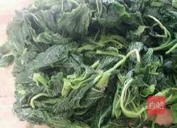 Wild vegetable dumplings recipe 5