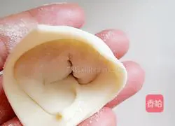 Illustration of how to make chicken and carrot wontons 11