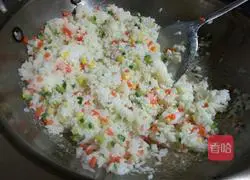 Fancy fried rice recipe 6