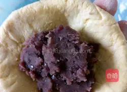 Pumpkin pie recipe 9