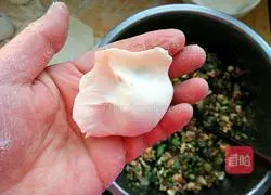 Illustration of how to make dumplings with four fresh fillings 8