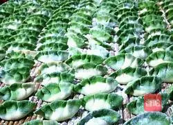 Illustration of how to make Jasper dumplings 6