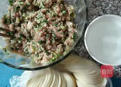 Illustration of how to make dumplings 9