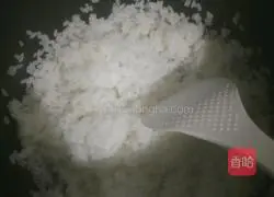 Egg Fried Rice Recipe Illustration 3