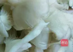 Illustration of cooking noodles with mushrooms and cabbage 2