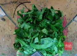 Jade Dumplings Recipe Illustration 4