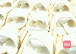 Illustration of how to make wontons 6