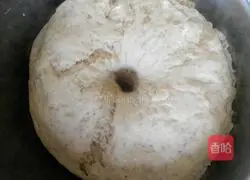 Illustration of how to make milky red date and rose steamed buns 4