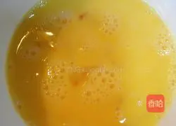 Colorful Fried Rice Recipe Illustration 2