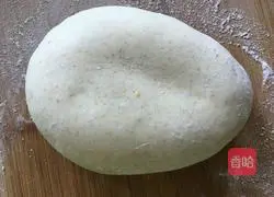 Winter Melon and Pork Dumplings Recipe Illustration 4