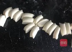 Illustration of making mini dumplings 7