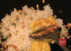 Assorted Fried Rice Recipe Illustration 11