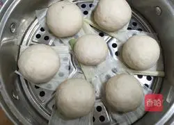 Illustration of how to make bean dregs steamed buns 8
