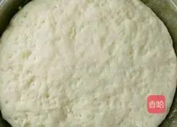 Panda Illustration of how to make steamed buns 2