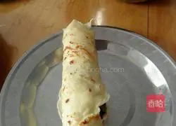 Vegetable meat burrito recipe 11