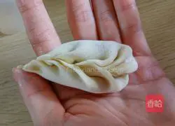 Illustration of how to make mushroom, pork and cabbage dumplings 9