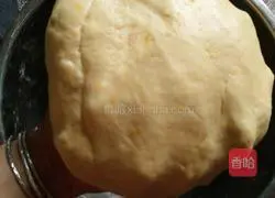 Pumpkin pie recipe 5