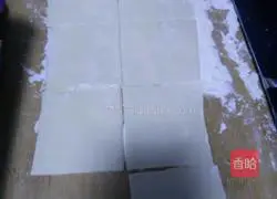 Shrimps Illustration of how to make pork wontons 3