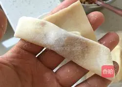 Illustration of how to make wontons 4
